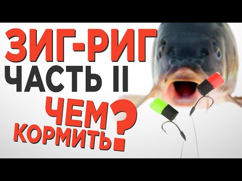 Видео: ЗИГ-РИГ, ((ловля карпа)). Прикормка для зиг-рига.