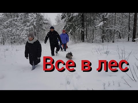 Видео: В гости приехала подписчица , которая купила нашу маленькую Зинку .Прогулка по зимнему лесу .