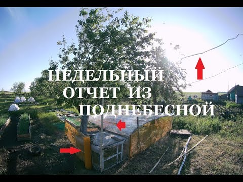 Видео: ИТОГИ НЕДЕЛИ // ПЧЕЛЫ // МЫ СПРАШИВАЕМ