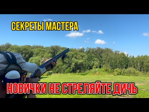 Видео: Секреты мастера. Новички, не стреляйте дичь!