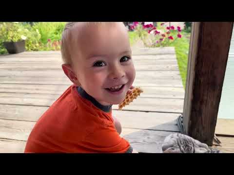 Видео: ЛИЗА ПЕЧЁТ ВАФЛИ🍪/15 НЕДЕЛЬ БЕР.😵/НАША СВИНКА🐖/СЕМЬЯ ЖУКОВЫХ 14 сентября 2023 г.