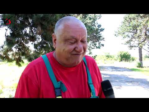 Видео: Черна е жътвата ни! Поне 40 ст  цена за пшеницата