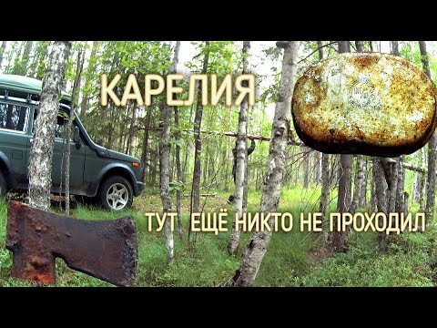 Видео: Находки в лесных дебрях Карелии. Финские топоры вещи столетней давности.