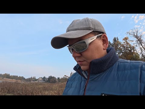 Видео: Ташморе. 25 октябрь 2025