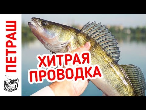 Видео: ХИТРАЯ ПРОВОДКА на СУДАКА и окуня! Ловля пассивного хищника! Рыбалка на джиг