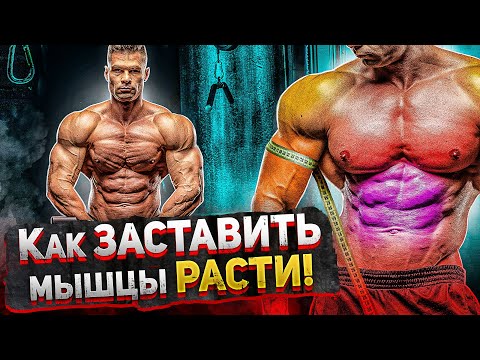 Видео: КАК заставить ваши МЫШЦЫ РАСТИ | Мнение науки.