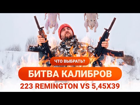 Видео: КАКОЙ КАЛИБР ВЫБРАТЬ? I 223 REMINGTON VS 5,45X39 I С ЧЕМ ИДТИ НА МЕЛКУЮ ДИЧЬ?