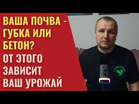 Видео: Забудьте про осадки. Считайте эффективную влагу — вот ключ к урожаю