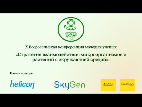 Видео: "Стратегия-2025" - СЕКЦИИ 3, 4, ЛЕКЦИЯ  И ЗАКРЫТИЕ (24.10.2025)