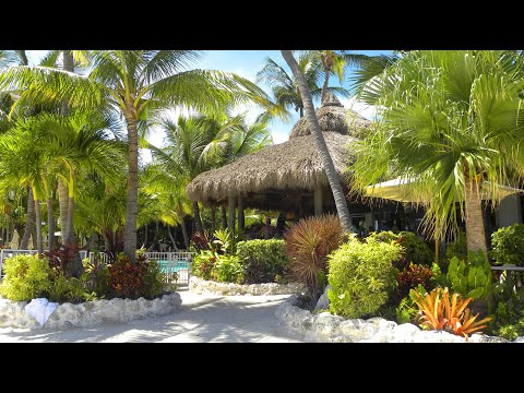 Видео: Еще 20 баров Флорида-Кис за 6 дней