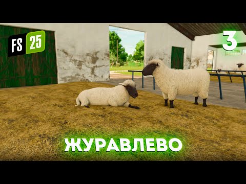 Видео: Овцы и коровы ► FS 25: Журавлево №3