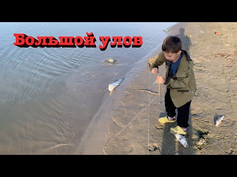Видео: 🎣 Большой улов, огромные Сомы и судаки. Секретное место для рыбалки в Атырауской области