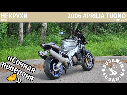Видео: НЕКРУХИ №25 Aprilia Tuono 1000 R 2006. Стрит с перчинкой