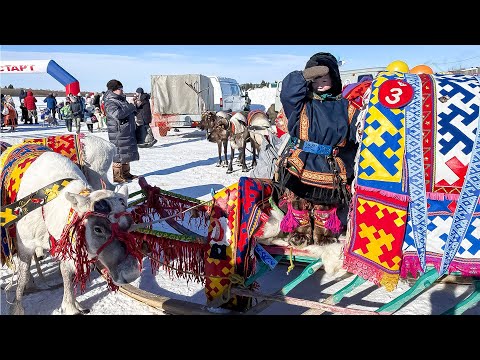 Видео: Ханты. День оленевода на Сынской земле | Тут султам