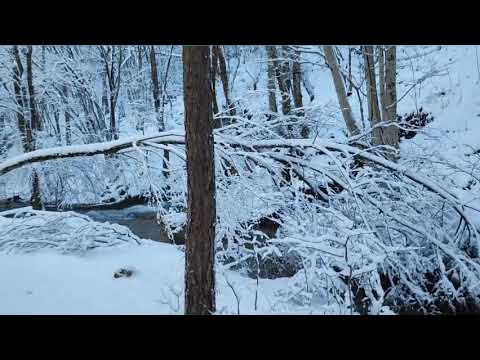 Видео: КРЫМСКАЯ ЗИМА, январь 2024 год