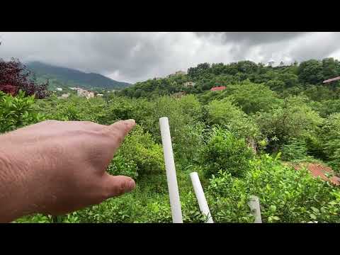 Видео: Сдаётся в аренду дом с садом, выход к реке, 2 км. от Батуми, 370$ в месяц.+995558997979 WhatsApp.