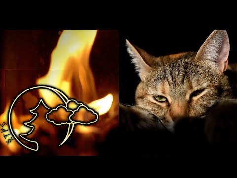 Видео: Релакс Мурлыканье кошки у камина для сна Исцеляющее МурлыканьеA purring cat next to the fireplace #5