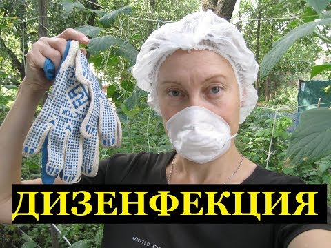 Видео: ОБРАБОТКА кур и курятника от ПЕРОЕДОВ,БЛОХ и КЛЕЩЕЙ