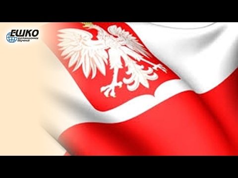Видео: Звательный падеж. Обращение в польском языке