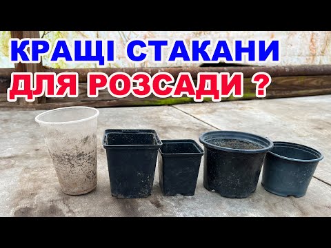 Видео: Який об'єм  горщика обрати  для розсади огірків, помідорів, баклажанів та перцю  ?