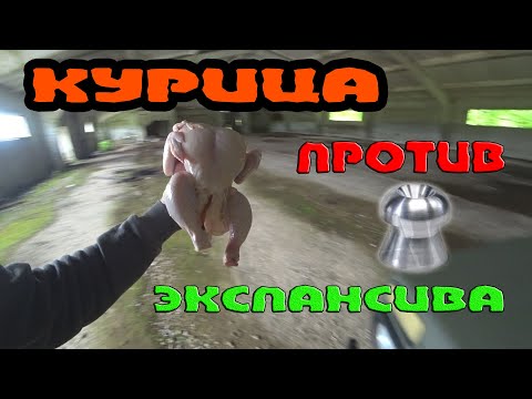 Видео: ЭКСПАНСИВНЫЕ ПУЛИ ДЛЯ ПНЕВМАТИКИ! подойдут ли для слабой воздушки???