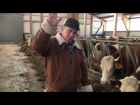 Видео: Ферма в Германии.Farm in Germany 🇩🇪 .