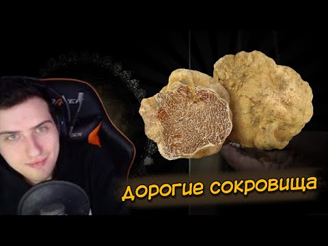 Видео: Hellyeahplay смотрит: 9 Самых Дорогих Сокровищ, Которые Можно Найти в Природе