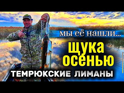 Видео: ЩУКА ОСЕНЬЮ/ТЕМРЮКСКИЕ ЛИМАНЫ/РЫБАЛКА С ЛОДКИ/ЩУКА НА СПИННИНГ/ВЫХОД ЩУКИ #рыбалка #щука #спиннинг 