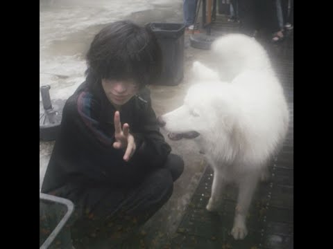 Видео: CUPSIZE - пока-пока (slowed + reverb)