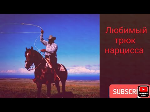 Видео: Любимый трюк нарцисса