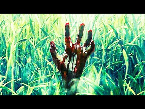 Видео: Парочку заманили в поле высокой травы и они потерялись