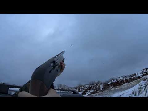 Видео: Охота на ворон с Беретта Урика