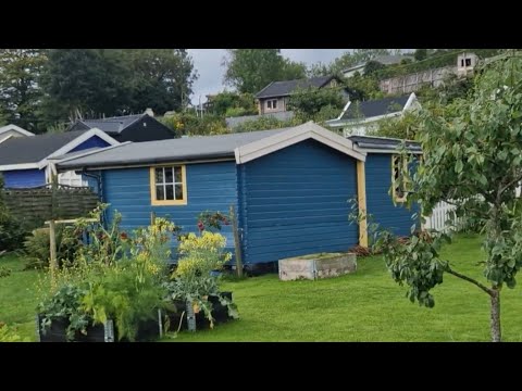 Видео: Норвежские дачи🇧🇻Участки и дома📌