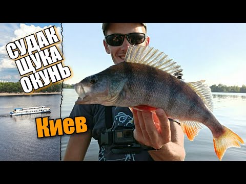 Видео: На лодке по КИЕВСКОМУ ДНЕПРУ. Ловля СУДАКА ОКУНЯ И ЩУКИ в Киеве. Показываем КАРТУ ГЛУБИН.