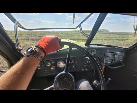 Видео: ЗИЛ-157 проливает магалебскую вишню после посадки на подвой.