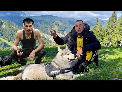 Видео: ГОПНИК ПРИСТАЛ к ХАСКИ в ГОРАХ КАРПАТЫ / Буковель 2021 - 2022.