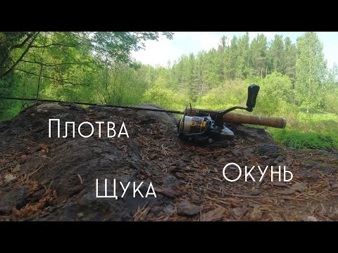 Видео: #421 #мормышинг | Микро речка | Плотва на спиннинг |