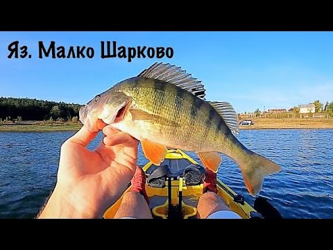 Видео: 31 см. КОСТУР . Нов рекорд . Риболов на яз. Малко Шарково .