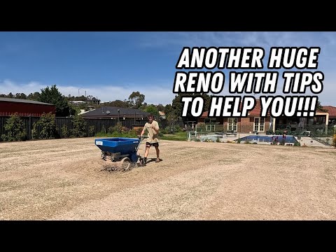 Видео: 10 важных советов по обновлению газона!! // полная стрижка, скарификация, аэрация, подкормка