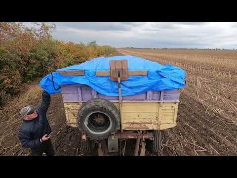 Видео: Уборка подсолнуха  2021 . Отремонтировали комбайн и поехали косить .