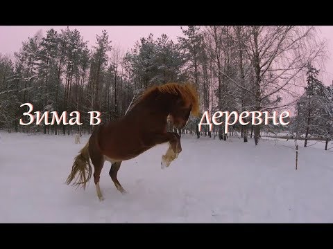 Видео: Видео ни о чем.  Сломался компьютер.