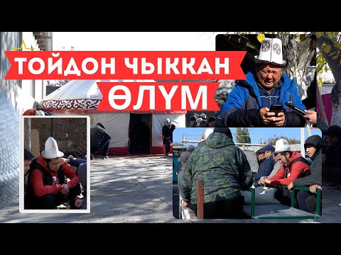 Видео: Ала-Арча ресторанынан кыйылган өмүр