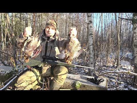 Видео: ДАВНО Я СТОЛЬКО НЕ СТРЕЛЯЛ. ОХОТА НА ТЕТЕРЕВА С ПОДХОДА. НАШЕЛ ЛОСЕЙ.