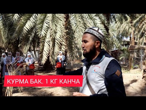 Видео: УМРА 15-БӨЛҮК. КУРМА БАК. АЖВА КУРМА АРЗАН ЭКЕН.