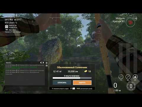 Видео: Трофейный/Уникальный Красноухий Солнечник  река Нейеррин