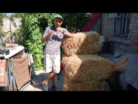 Видео: С этого дня у нас серьёзный подход к разведению и содержанию птицы.Деревенские будни городских людей