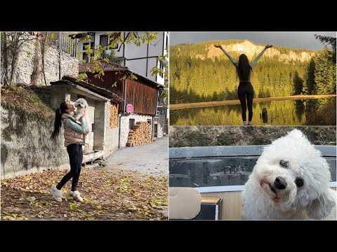 Видео: Сама с буса из Родопите
