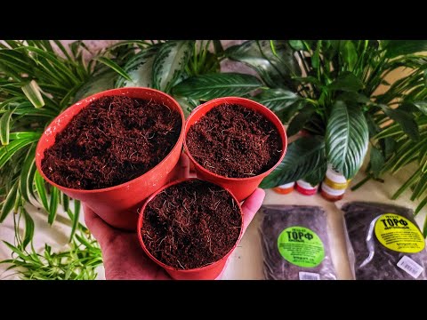 Видео: Торфни ўзига гулларни экса бўладими.❌БИЗНИ ИҚЛИМ УЧУН ЖУДА МУҲИМ МАВЗУ.