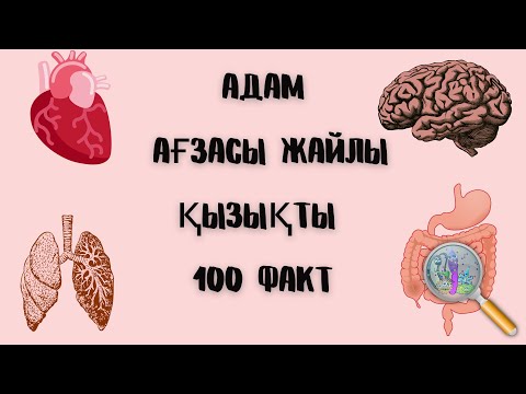 Видео: Адам ағзасы жайлы қызықты 100 факт| Егер адам 10 күн ұйықтамаса. . . | Қазақша