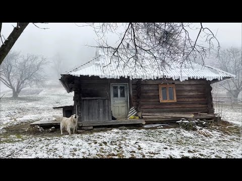 Видео: Самотні хати під лісом присілку Кляуза.